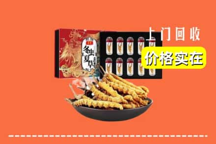 下花园区回收冬虫夏草
